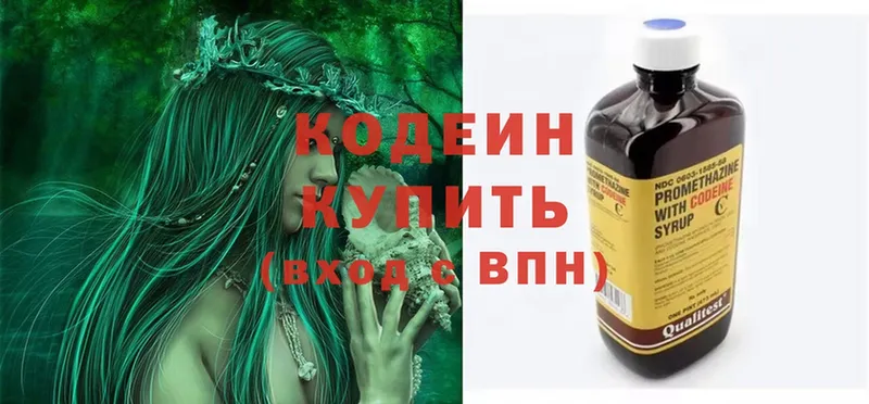 Кодеин напиток Lean (лин)  купить закладку  ссылка на мегу ССЫЛКА  Жердевка 