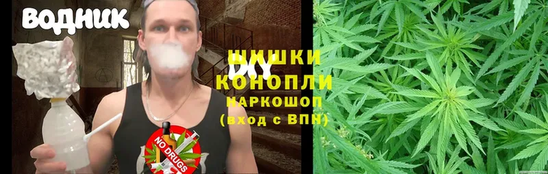 Бошки Шишки White Widow  Жердевка 